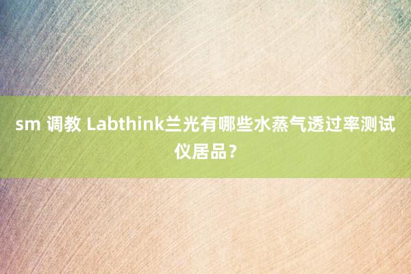 sm 调教 Labthink兰光有哪些水蒸气透过率测试仪居品？