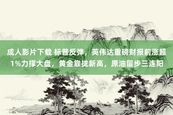 成人影片下载 标普反弹，英伟达重磅财报前涨超1%力撑大盘，黄金靠拢新高，原油留步三连阳