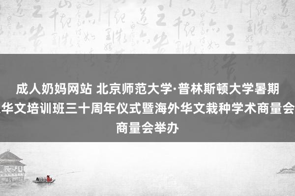 成人奶妈网站 北京师范大学·普林斯顿大学暑期北京华文培训班三十周年仪式暨海外华文栽种学术商量会举办