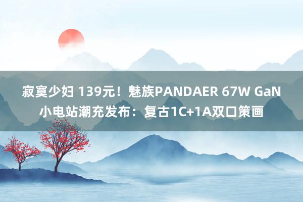 寂寞少妇 139元！魅族PANDAER 67W GaN小电站潮充发布：复古1C+1A双口策画