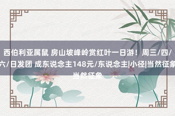 西伯利亚属鼠 房山坡峰岭赏红叶一日游！周三/四/六/日发团 成东说念主148元/东说念主|小径|当然征象