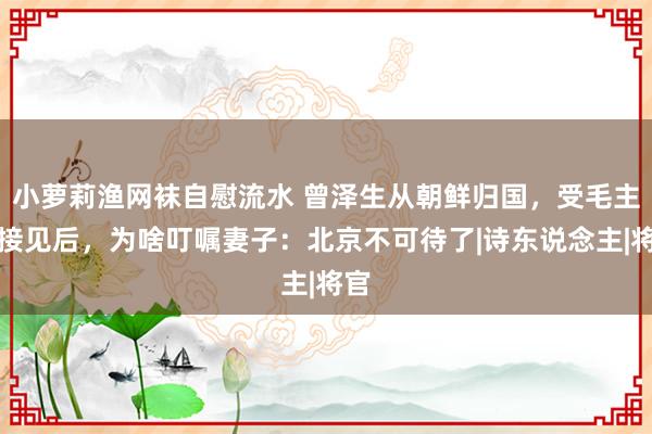 小萝莉渔网袜自慰流水 曾泽生从朝鲜归国，受毛主席接见后，为啥叮嘱妻子：北京不可待了|诗东说念主|将官