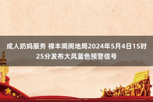 成人奶妈服务 禄丰阛阓地局2024年5月4日15时25分发布大风蓝色预警信号