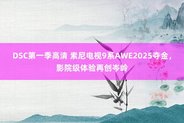 DSC第一季高清 索尼电视9系AWE2025夺金，影院级体验再创岑岭